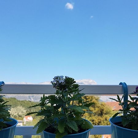 Apartman Lucija Korčula Dış mekan fotoğraf