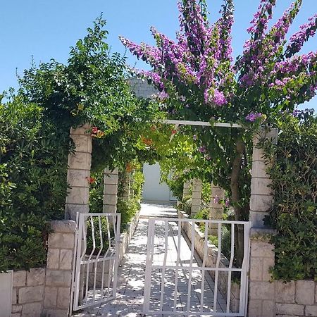 Apartman Lucija Korčula Dış mekan fotoğraf