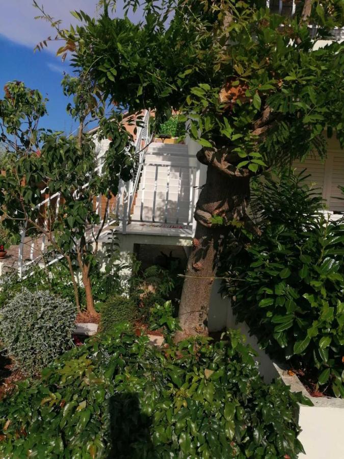 Apartman Lucija Korčula Dış mekan fotoğraf