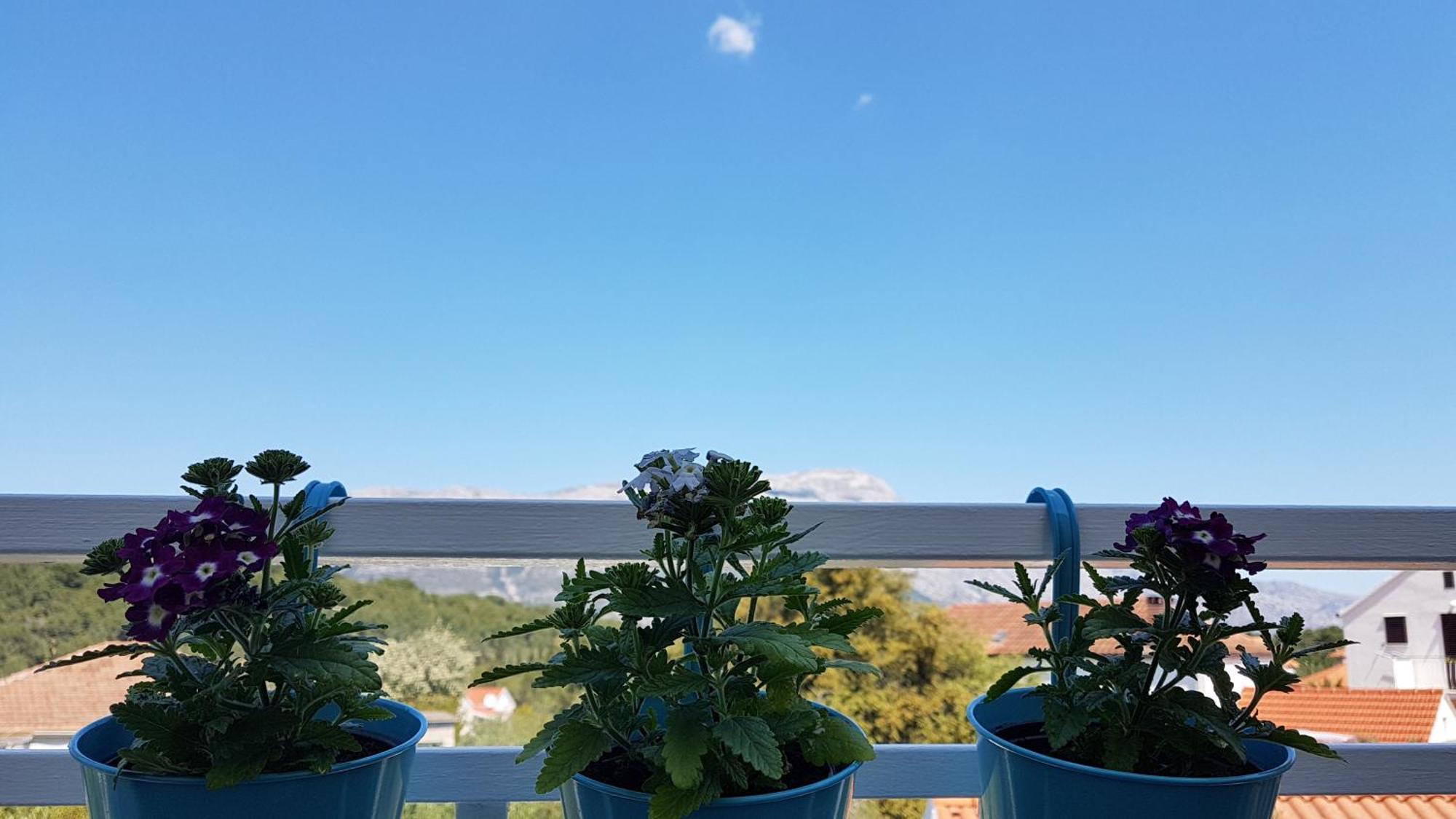 Apartman Lucija Korčula Dış mekan fotoğraf