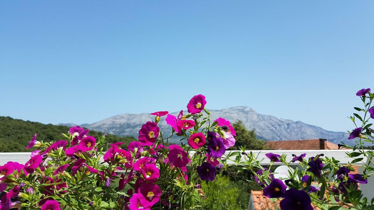 Apartman Lucija Korčula Dış mekan fotoğraf