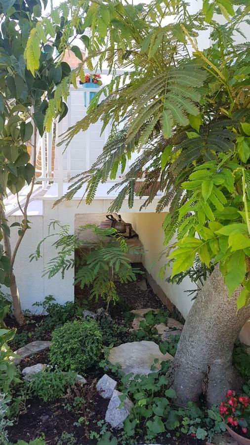 Apartman Lucija Korčula Dış mekan fotoğraf