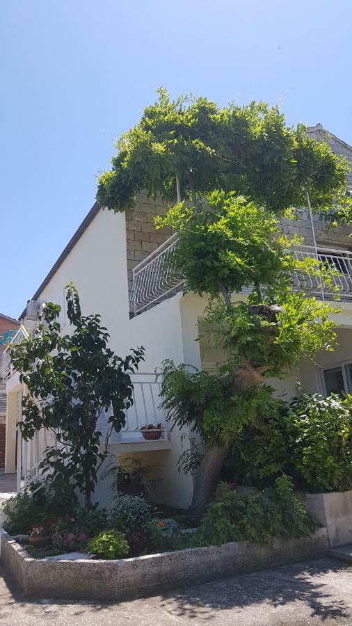 Apartman Lucija Korčula Dış mekan fotoğraf