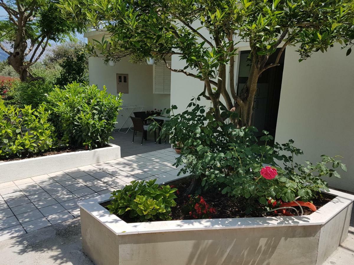 Apartman Lucija Korčula Dış mekan fotoğraf
