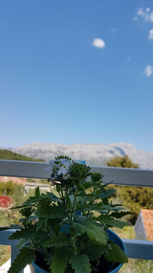 Apartman Lucija Korčula Dış mekan fotoğraf