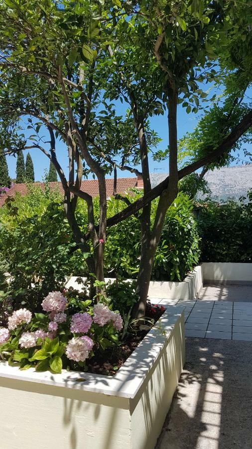 Apartman Lucija Korčula Dış mekan fotoğraf