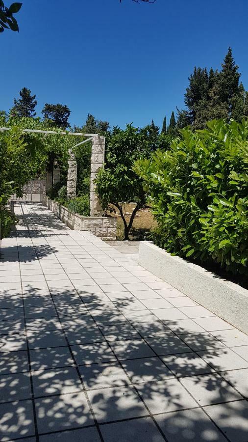 Apartman Lucija Korčula Dış mekan fotoğraf