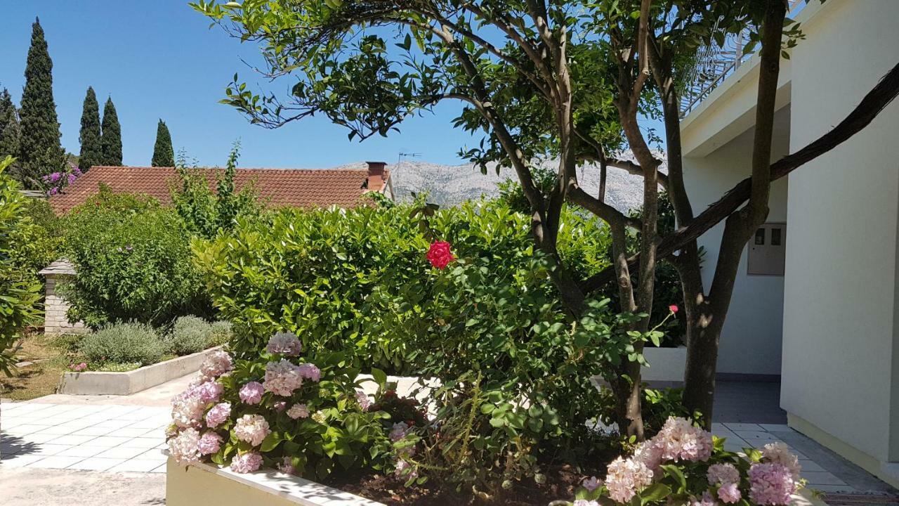 Apartman Lucija Korčula Dış mekan fotoğraf