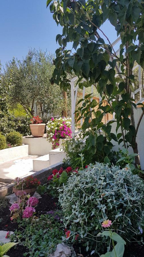 Apartman Lucija Korčula Dış mekan fotoğraf